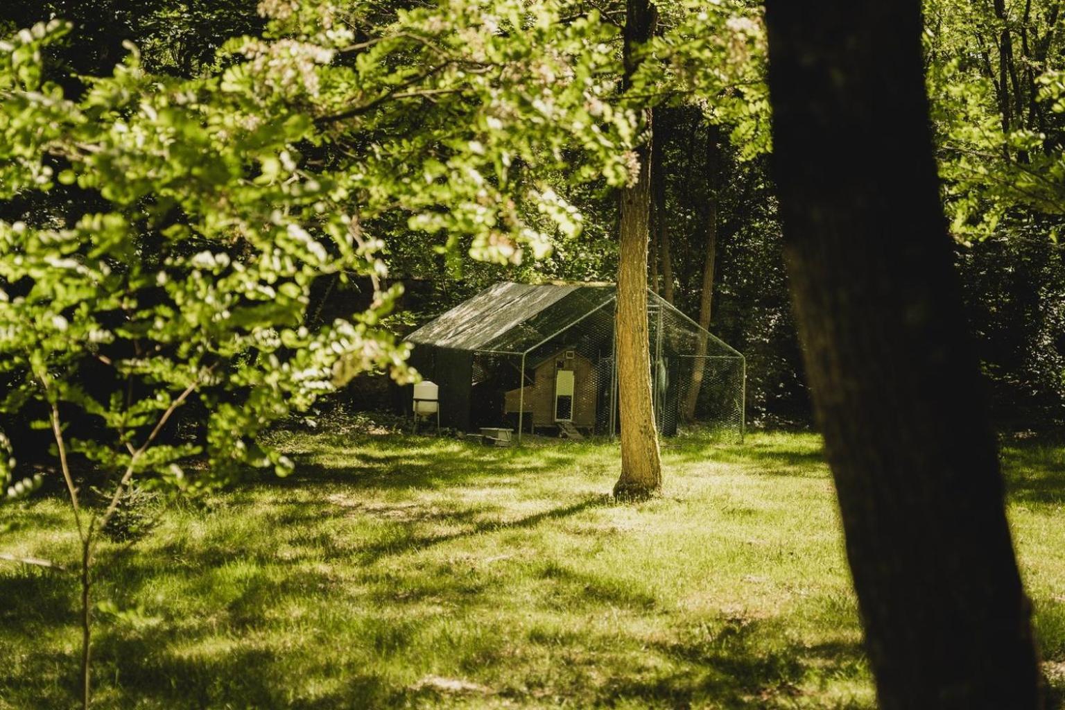 Bed and Breakfast Domaine De Montizeau Lailly-en-Val Exterior foto